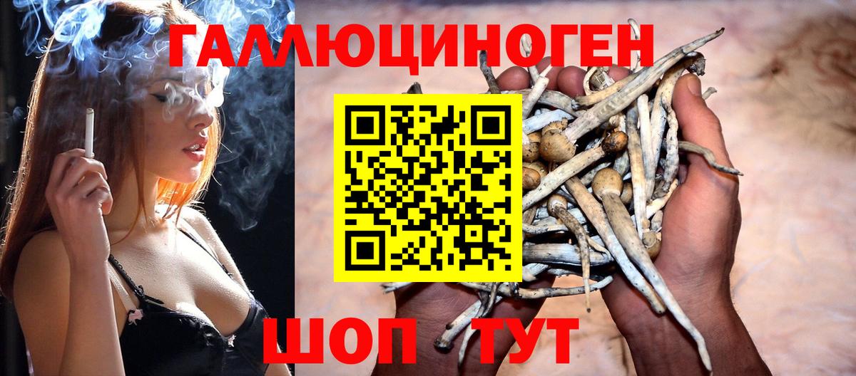 Галлюциногенные грибы Cubensis Пыть-Ях
