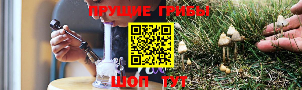 Пыть-Ях  Галлюциногенные грибы MAGIC MUSHROOMS  Псилоцибиновые грибы Magic Shrooms  Вход с VPN 
