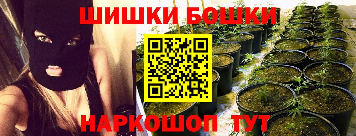 Бошки марихуана MAZAR Пыть-Ях